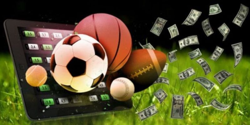 Tìm hiểu cách thức hoạt động và cơ chế quản lý của forum cá độ bóng đá