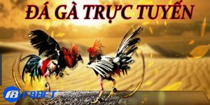 đá gà online ăn tiền thật