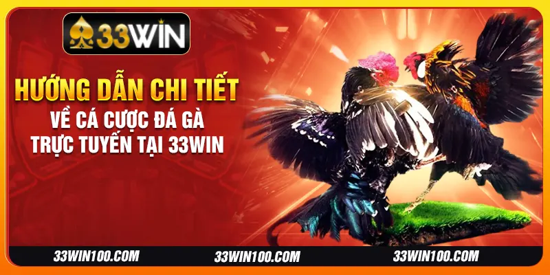 Hướng dẫn chi tiết về cá cược đá gà trực tuyến tại 33Win